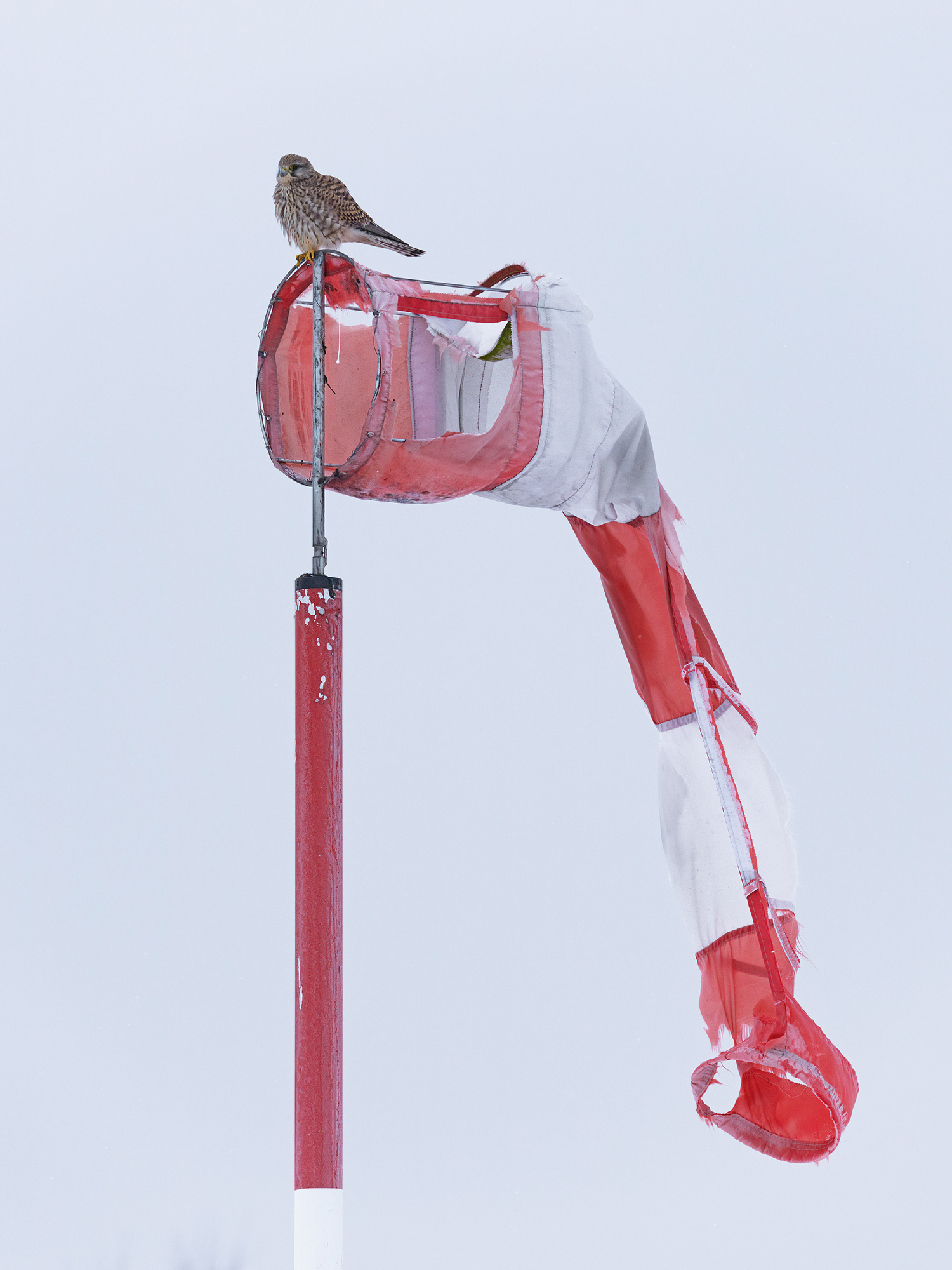 Nicht so viel Wind heute.